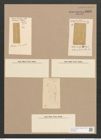 Amphora formosa Cleve (de-Toni-Nr.: Genus 36, Species 1599) Zeichnungen Sammlung Grunow Nr. 3063 (NHMW-BOT-W0370465)